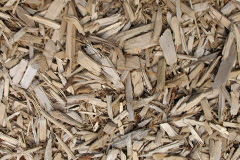 biomass boilers Enterpen